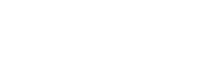 Disiu Logo